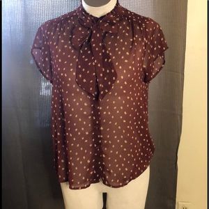 Anthropologie Pleione Top